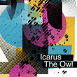 Icarus The Owl