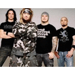Cavalera Brothers Are Back In Action