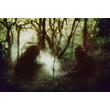 Wolves In The Throne Room Dates